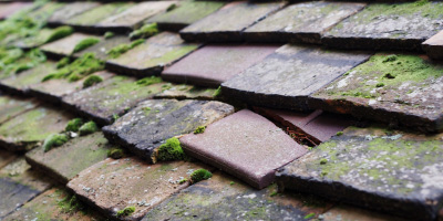 Fraserburgh roof repair costs